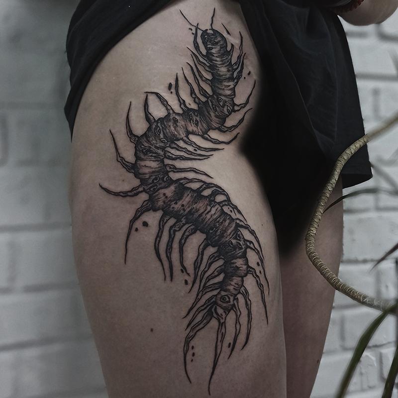 Сколопендра в графике красиво подчёркивает бедро