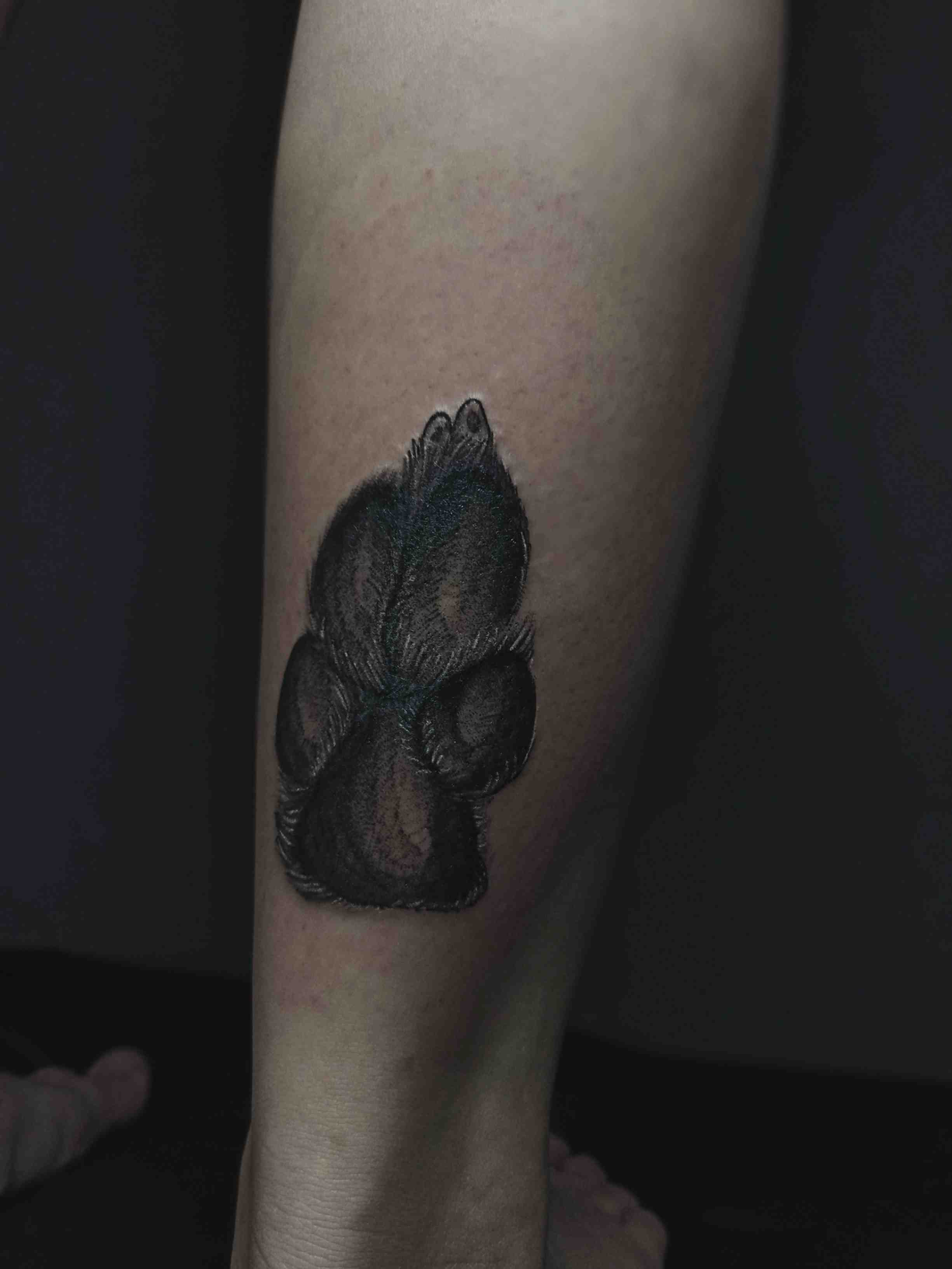 Здравствуйте, ещё раз спасибо 😍 прекрасная работа, и прекрасный мастер своего дела ❤️